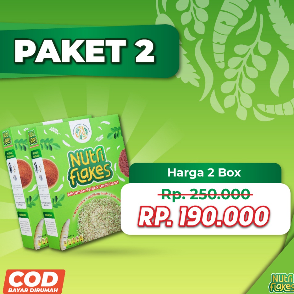

Pro Hemat Nutriflakes Sereal Umbi Garut Asam Lambung 2 Box