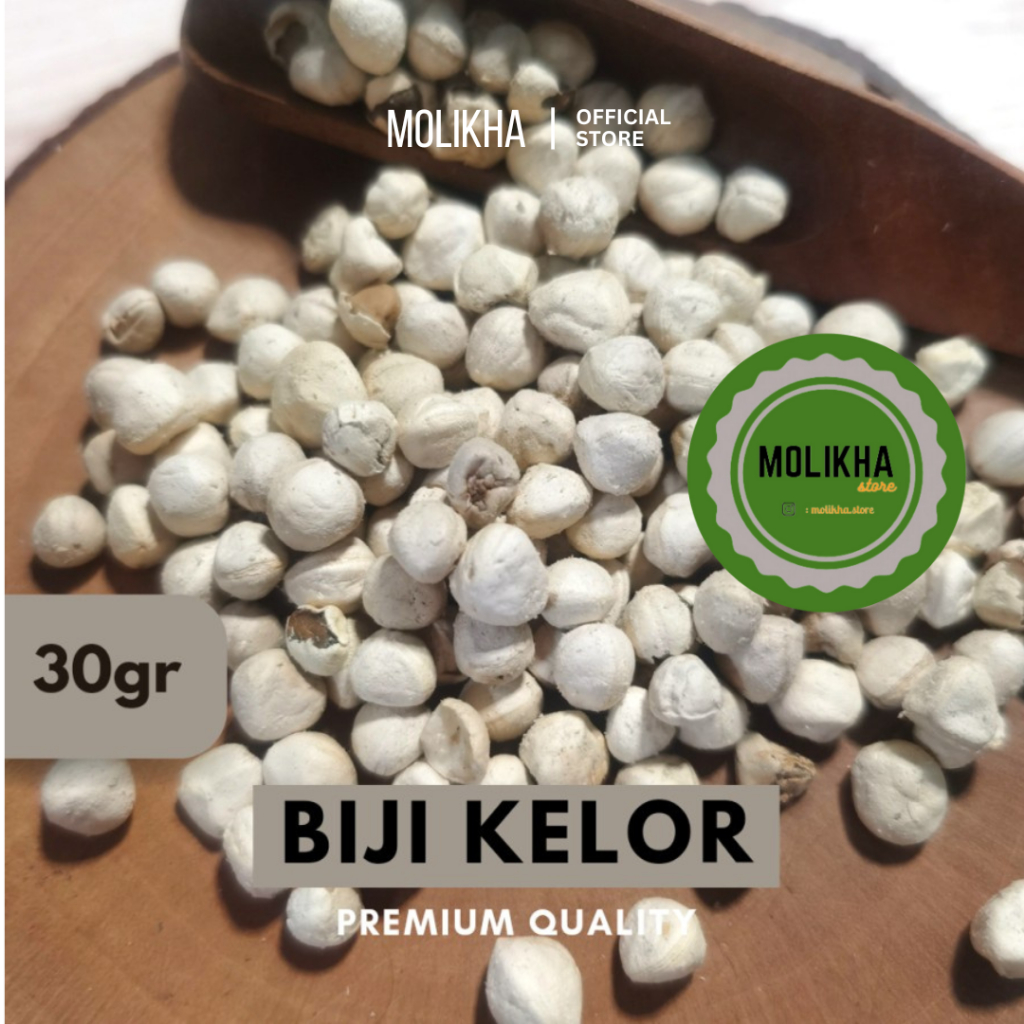 

Biji Kelor Kupas 30gr Moringa Seeds Kernel Kelor Premium Herbs Time