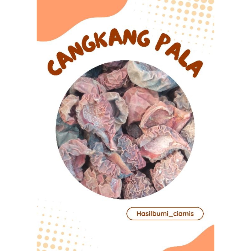 

cangkang pala kering 1 kg / full jemur matahari / kwalitas bagus TERMURAH