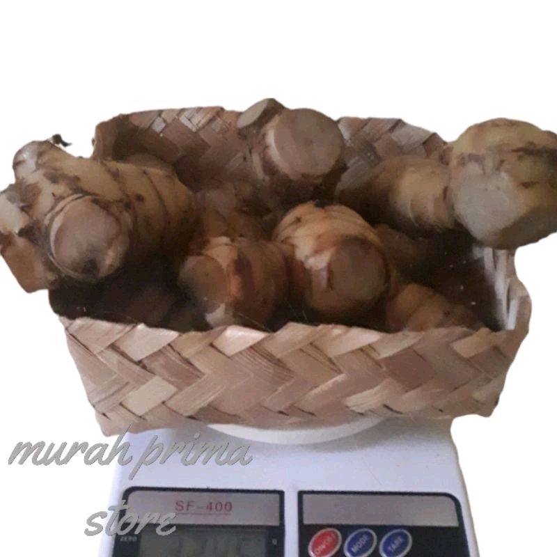 

Jangklong Ganyong Umbi Rebus Matang Khas Muria 1 Kg