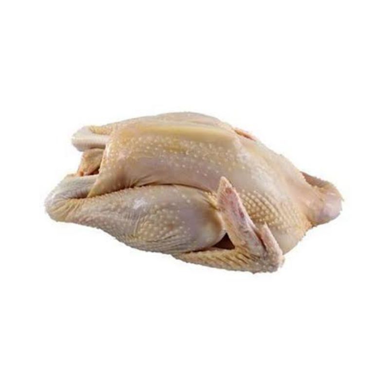 

AYAM KAMPUNG 0.8-0.9kg AYAM UTUH / AYAM 1 EKOR / AYAM FRESH / AYAM SEGAR