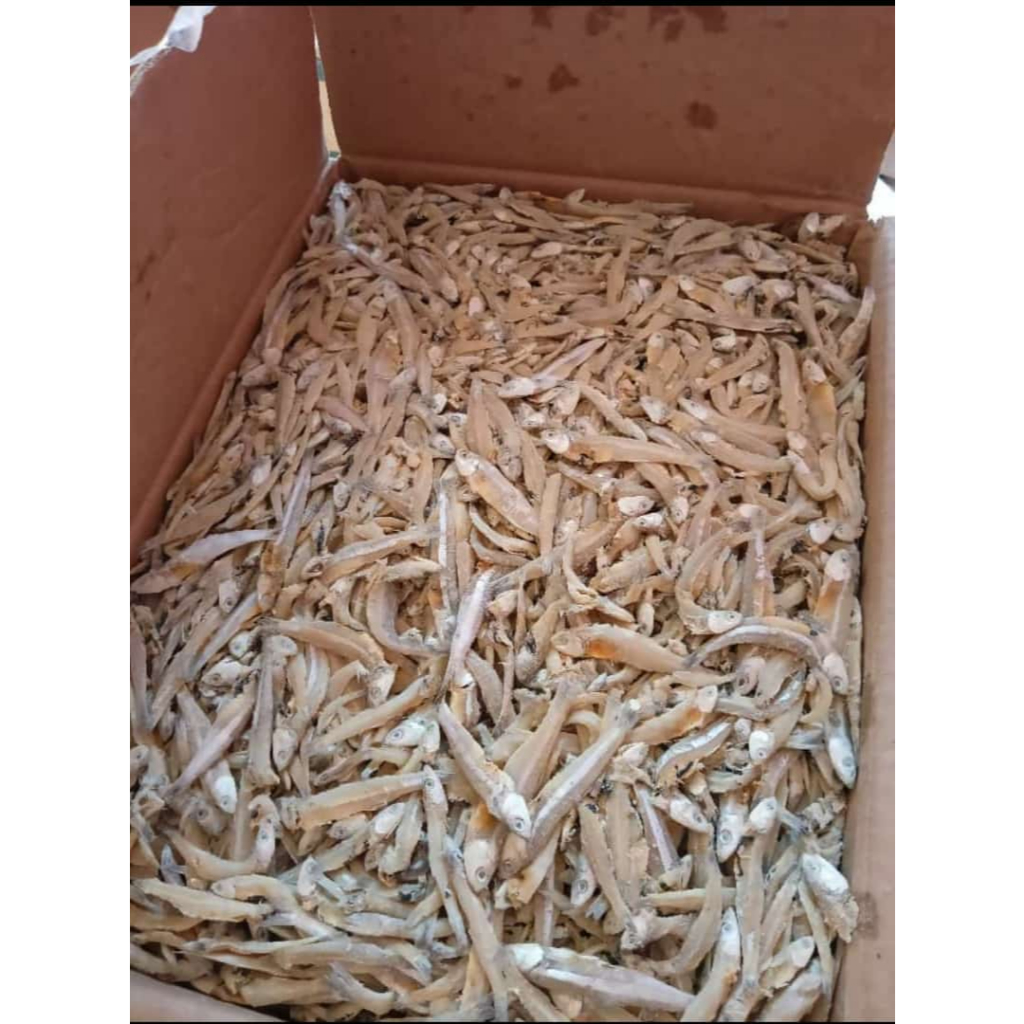 

PROMO MURAH TERI ASIN JENGKI KEMASAN CURAH