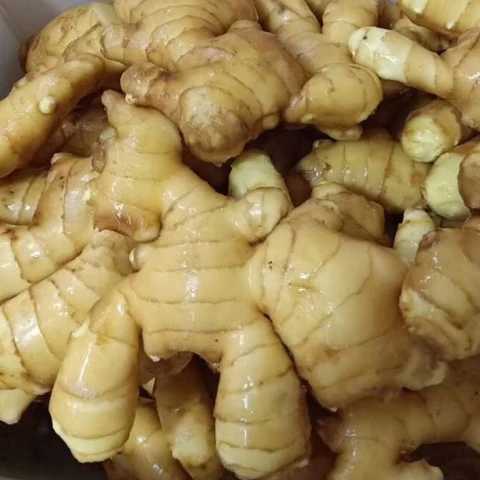 

jahe emprit 1kg