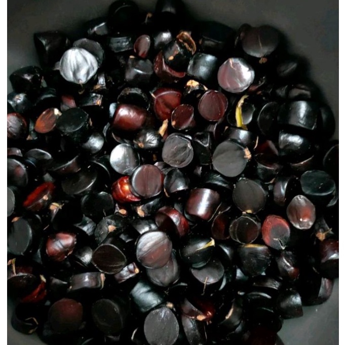 

Ready Stock 5GR KABAU JOLANG JOLENG ASLI SUMATERA 5gr TUO SUPER PREMIUM