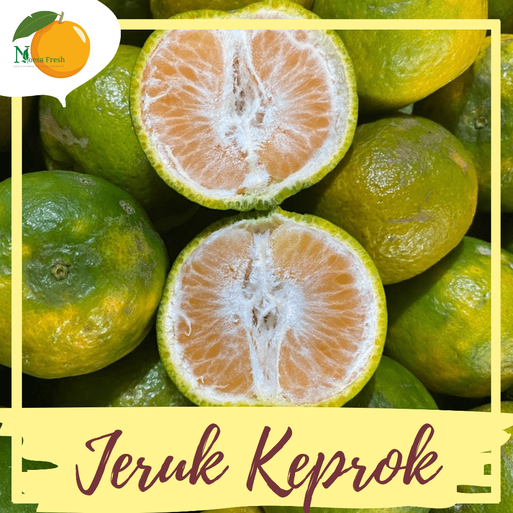 

Jeruk Keprok Madu Fresh 1kg | Oleh-Oleh Khas Batu Malang