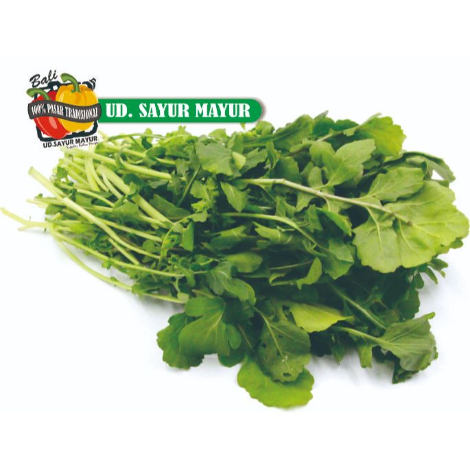 

Lettuce Rukola 200 gram