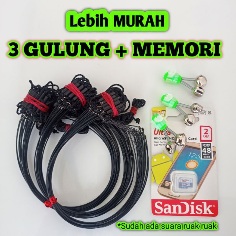 Racik burung ruak ruak dan memori mp3 suara terbaik