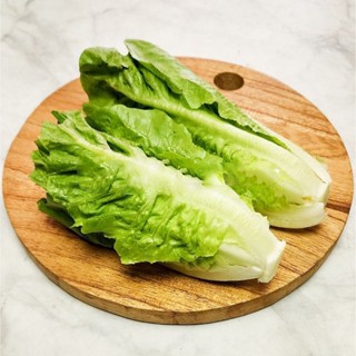 

KIRIM INSTAN Selada Romaine 150gr