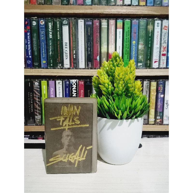 Kaset IWAN FALS SUGALI VERSI BOX