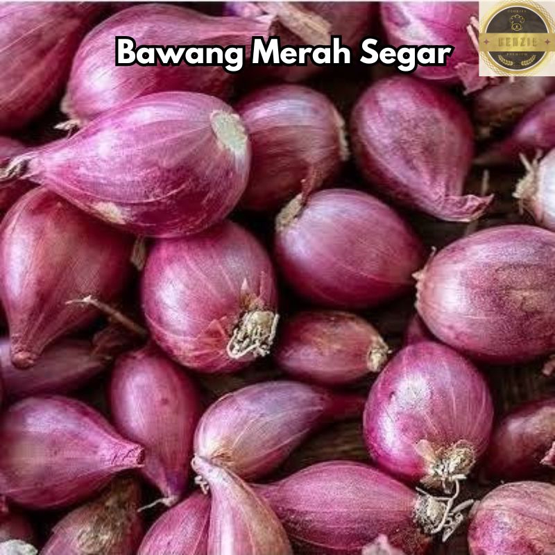 

Bawang Merah Brebes 500 gr Bawang super