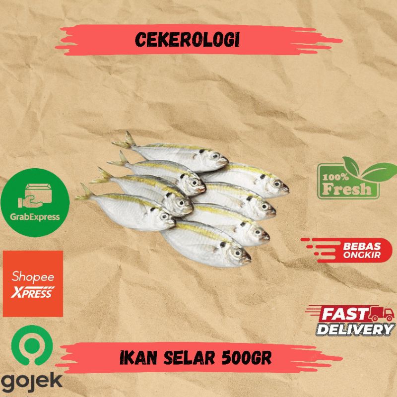 

Ikan Selar 500gr / Ikan Selar / Ikan Selar Fresh Berkualitas / JABODETABEK / Ikan Segar / Ikan