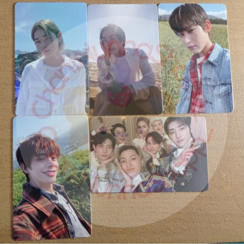 [OFFICIAL] ENHYPEN PHOTOCARD (Sunoo dilan, Jake,Ni-ki,Jungwon)