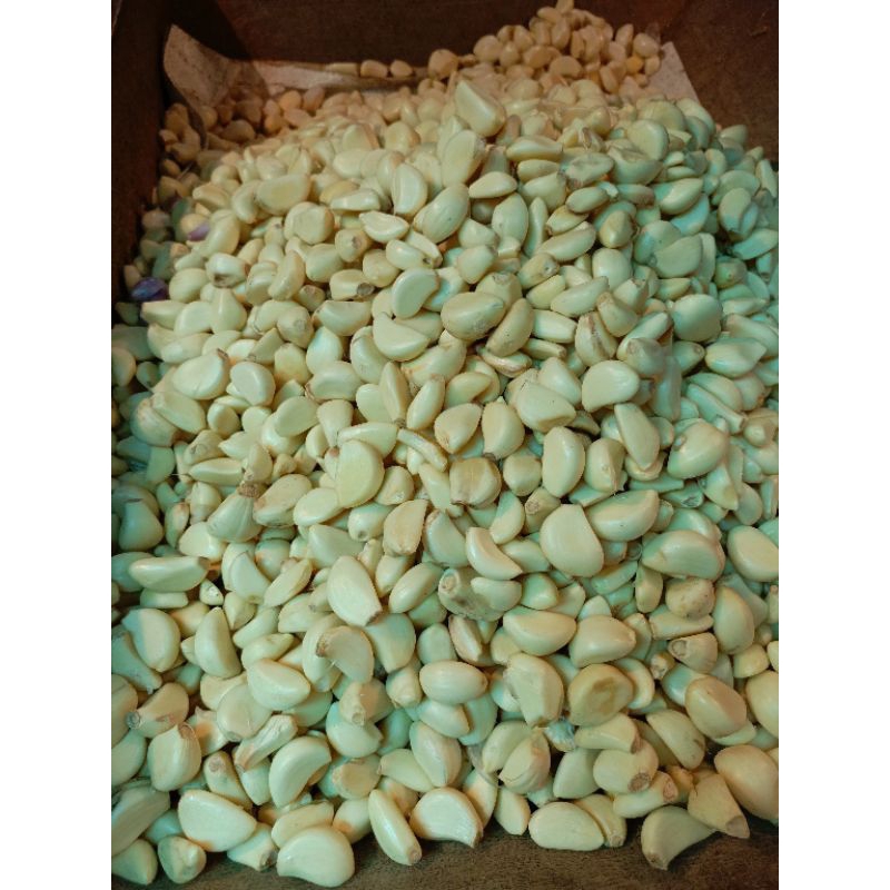 

RB Bawang Putih Kupas 500 Gr
