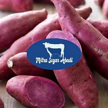 

DISKON Ubi Ungu Jepang Satsumaimo 1KG