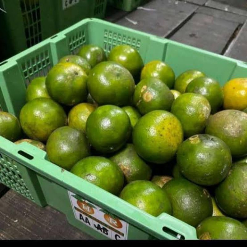 

Jeruk Pontianak 500 gram