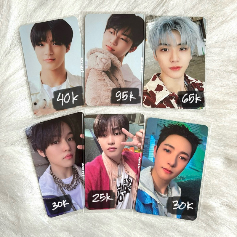 [jeno, jaemin boneka sg22 bene season greeting, jaemin sapi ridin, renjun ld glimo, chenle rollin, j