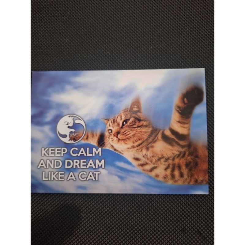 

kartu pos kucing keep calm /keepcalm cat postcard