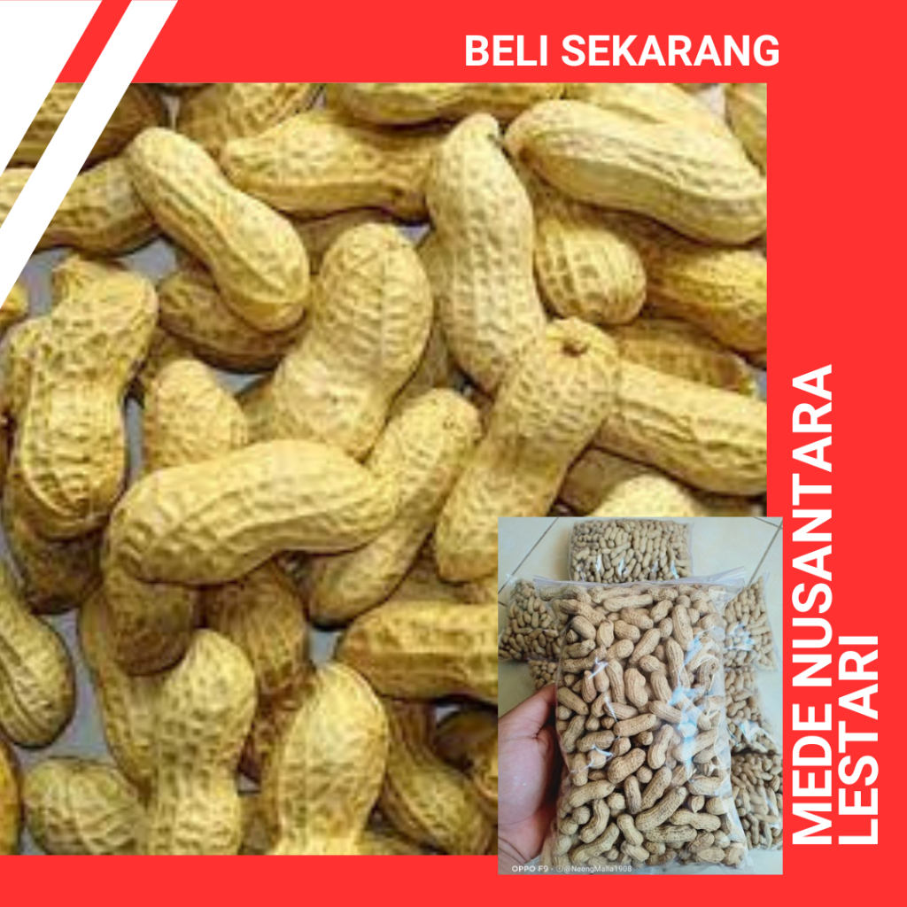 

Kacang Kulit Sangraai / Kacang Kulit Best Seller / Kacang Kulit Oven Rasa Original 500Gram