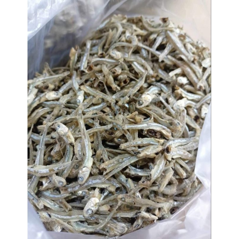 

Ikan TERI PULAU