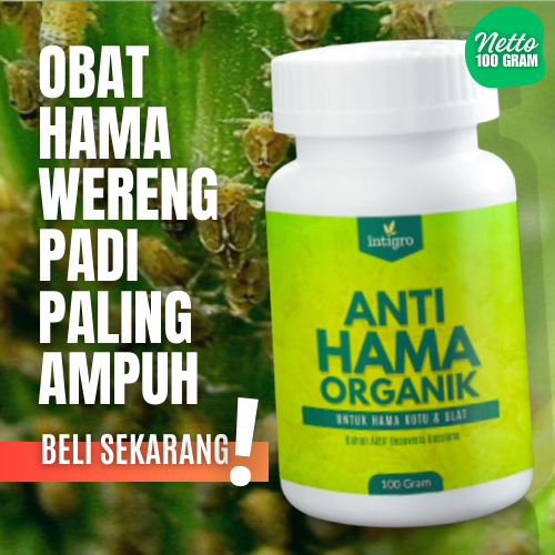 Obat Pembasmi Hama Wereng Coklat Hijau Pestisida Organik Pembasmi Hama Tanaman Padi Jagung Kacang