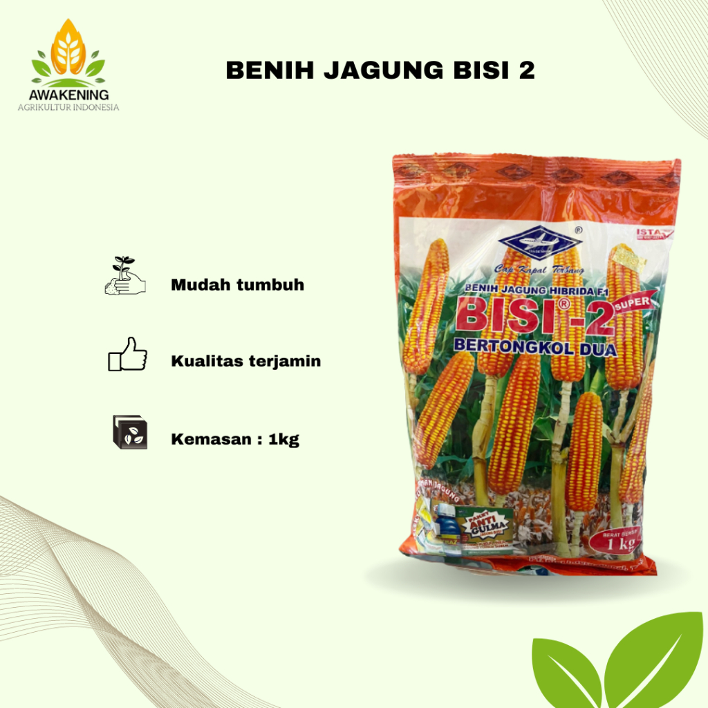 BENIH JAGUNG BISI 2 1KG