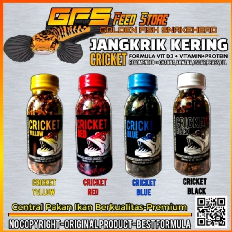 JANGKRIK KERING CRICKET BLACK CRICKET RED CRICKET YELLOW CRICKET BLUE
