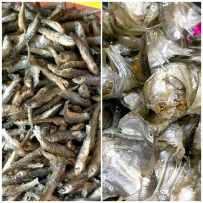 

SALERO AWAK oleh oleh makanan ikan bilih bilis turiak goreng belah kapiek jemur kering Singkarak padang minang original