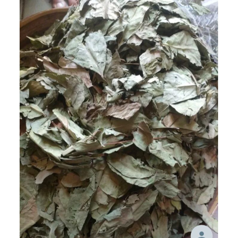 

Daun Salam Kering Berkualitas 200 gram