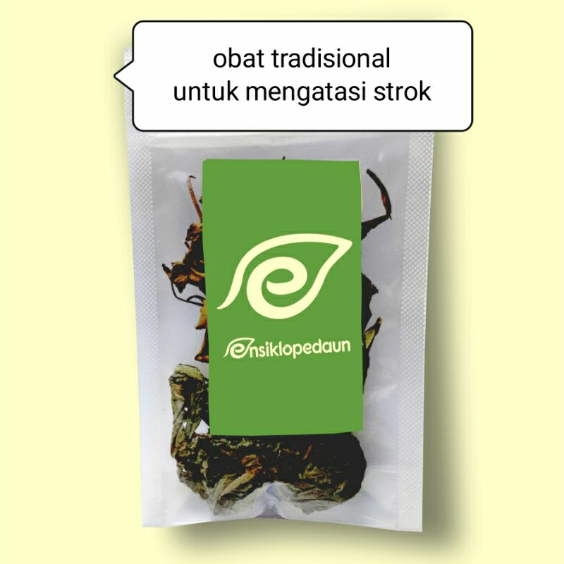 

obat jamu tradisional untuk mengatasi penyakit strok dari daun daun alami di rebus