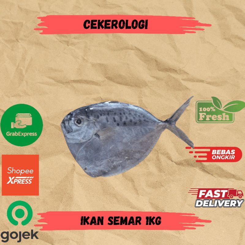 Ikan Semar 1kg / Ikan Semar / Ikan Semar Fresh Berkualitas / Ikan Segar / Ikan