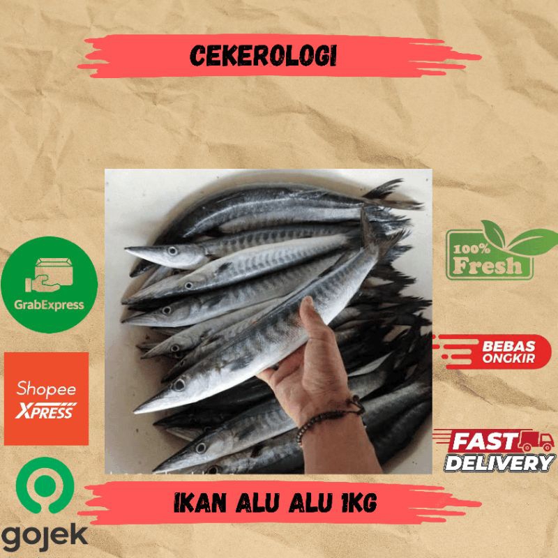 

Ikan Alu Alu 1kg / Ikan Alu Alu / Ikan Alu Alu Fresh Berkualitas / Ikan Segar / Ikan