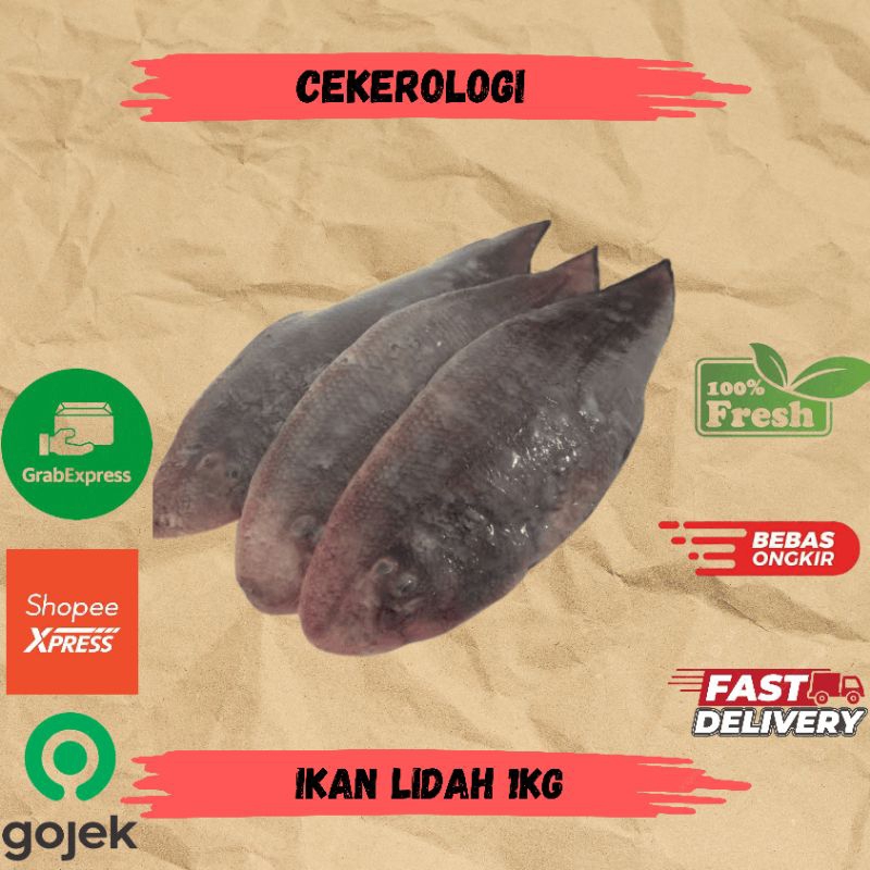 

Ikan Lidah 1kg / Ikan Lidah / Ikan Lidah Fresh Berkualitas / JABODETABEK / Ikan Segar / Ikan