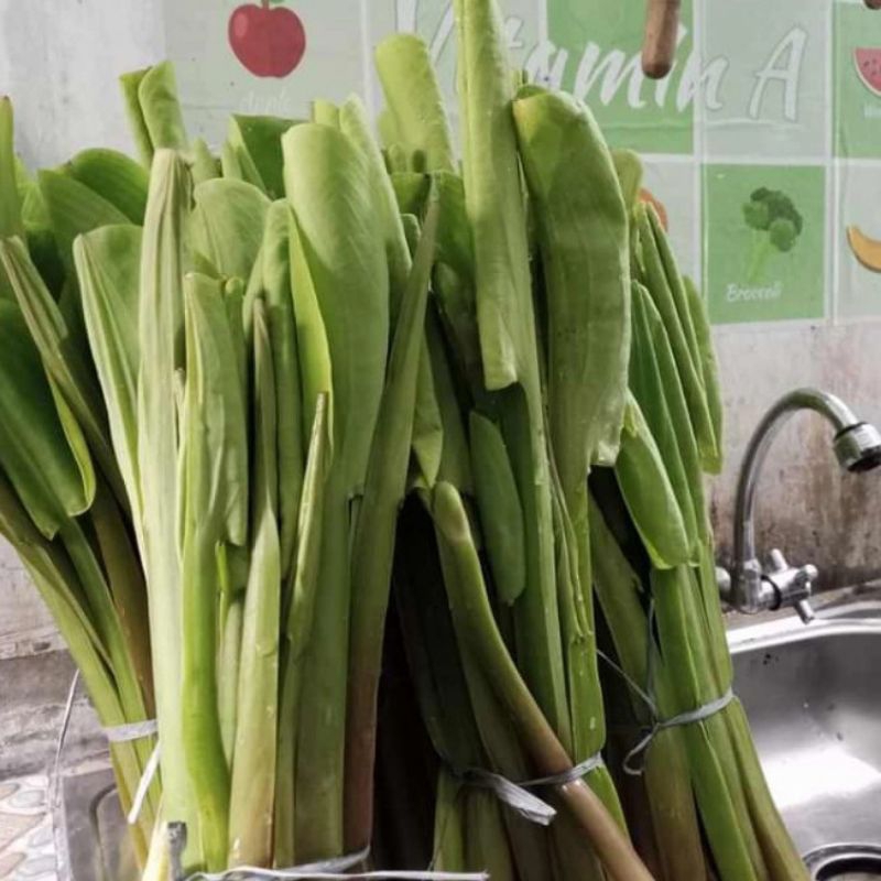 

sayur genjer segar(Harap tanya stok)