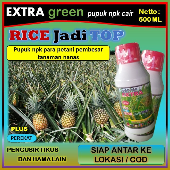 Pupuk tanaman nanas npk cair lengkap ( EKTRA GREEN RICE jadi TOP ) 500 ml - pupuk penyubur tanaman n