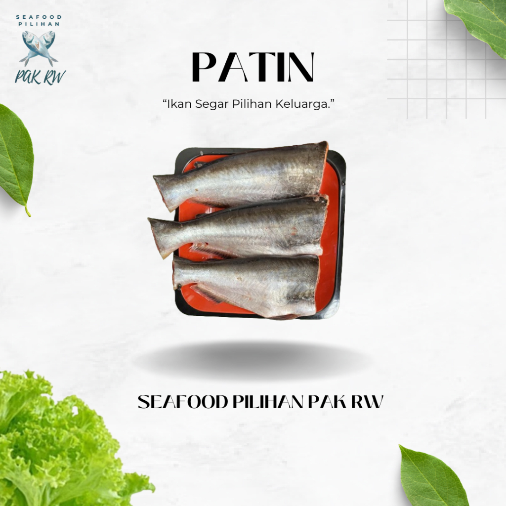 

Ikan Patin