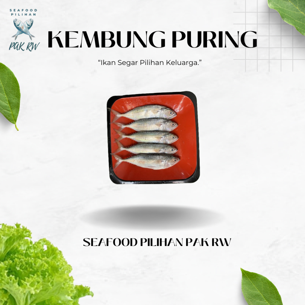 

Ikan Kembung Puring