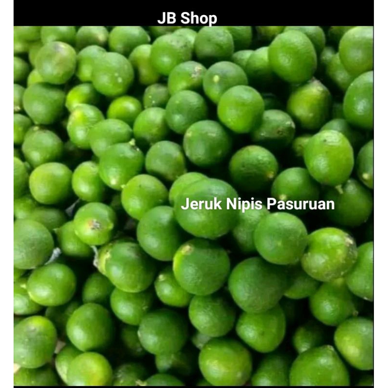 

promo jeruk nipis segar baru petik pohon