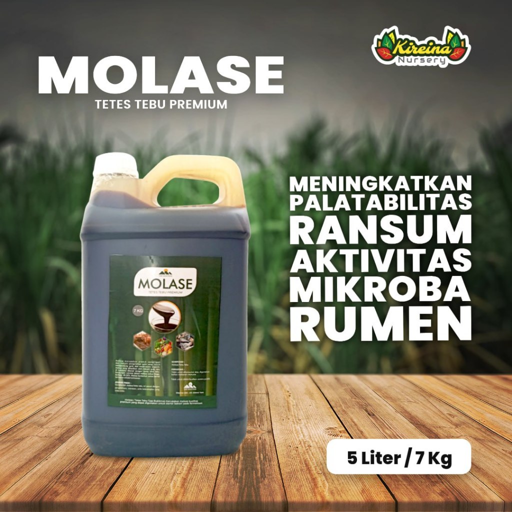 Molase 5 Liter/7 Kg Tetes Tebu Premium Tjap Bukitemas