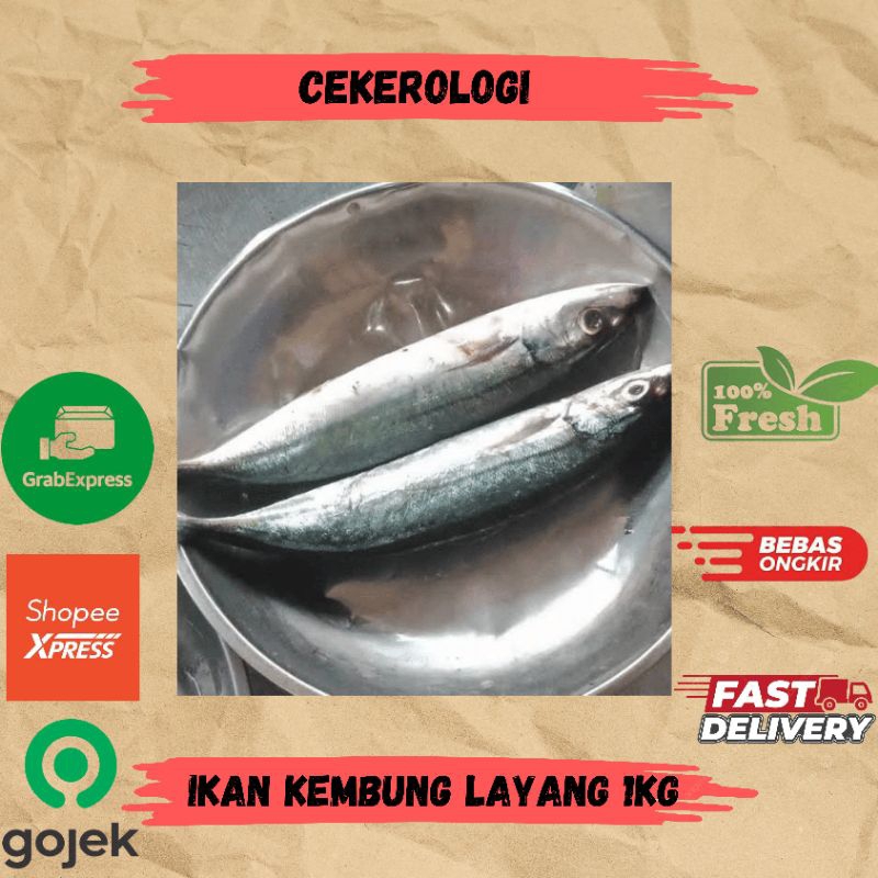 

Kembung Layang 1kg / Kembung Layang / Ikan Kembung Layang / Ikan Kembung Layang Fresh Berkualitas / JABODETABEK / Ikan Segar / Ikan