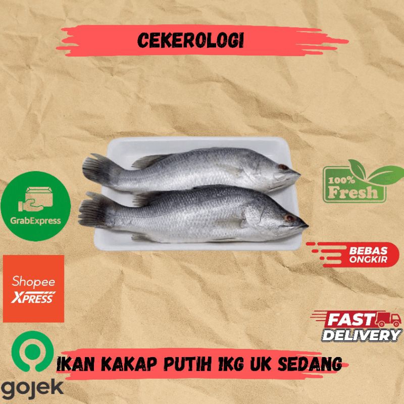 

Ikan Kakap Putih Uk Sedang 1ekor / Ikan Kakap Putih / Ikan Kakap / Ikan Kakap Putih Fresh Berkualitas / JABODETABEK / Ikan Segar / Ikan