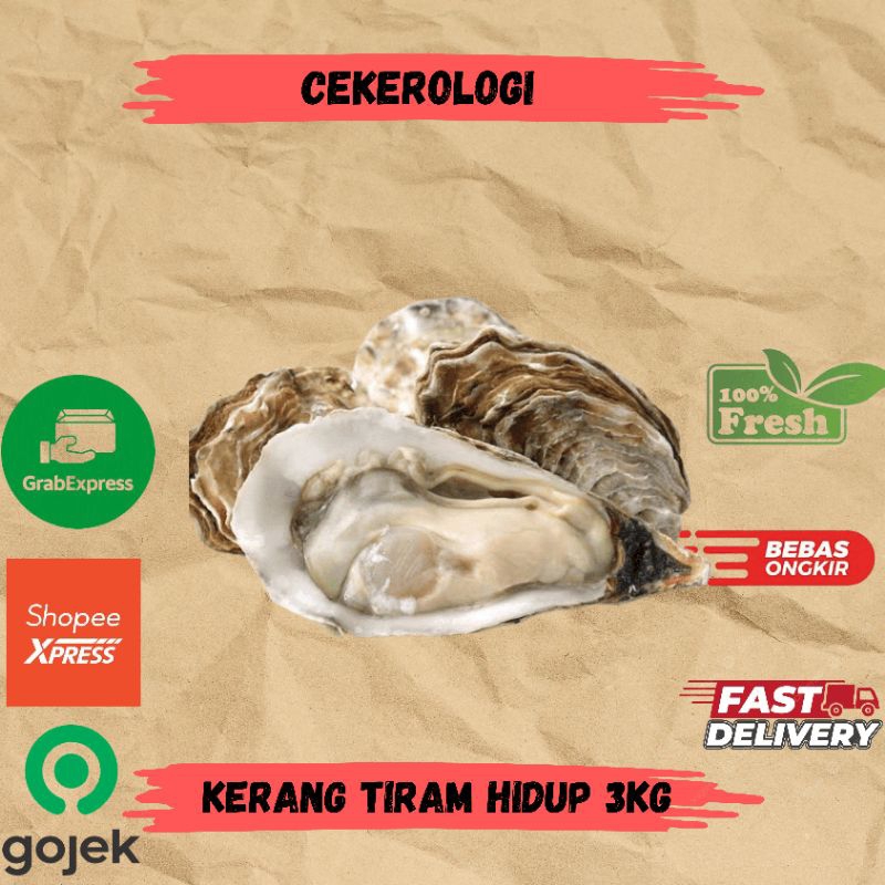 

Kerang Tiram Hidup 3kg / Kerang Tiram Hidup / Kerang Tiram / Kerang Tiram Fresh Berkualitas / JABODETABEK / Seafood Segar / Seafood