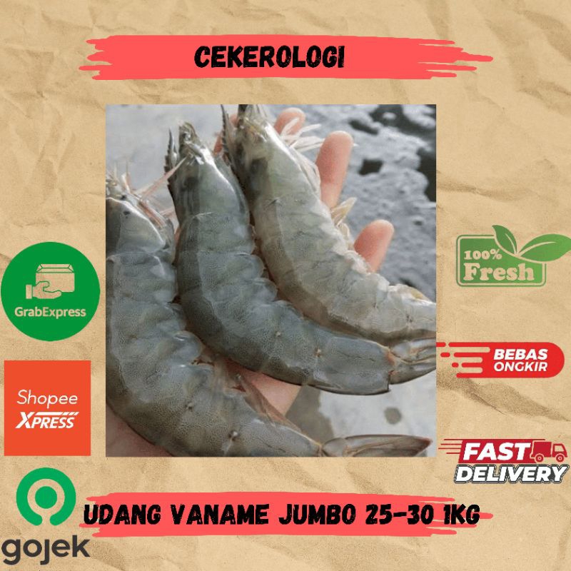 

Udang Vaname Jumbo Size 25-30 1kg / Udang Vaname / Vaname / Udang Vaname Fresh Berkualitas / JABODETABEK / Seafood Segar / Seafood