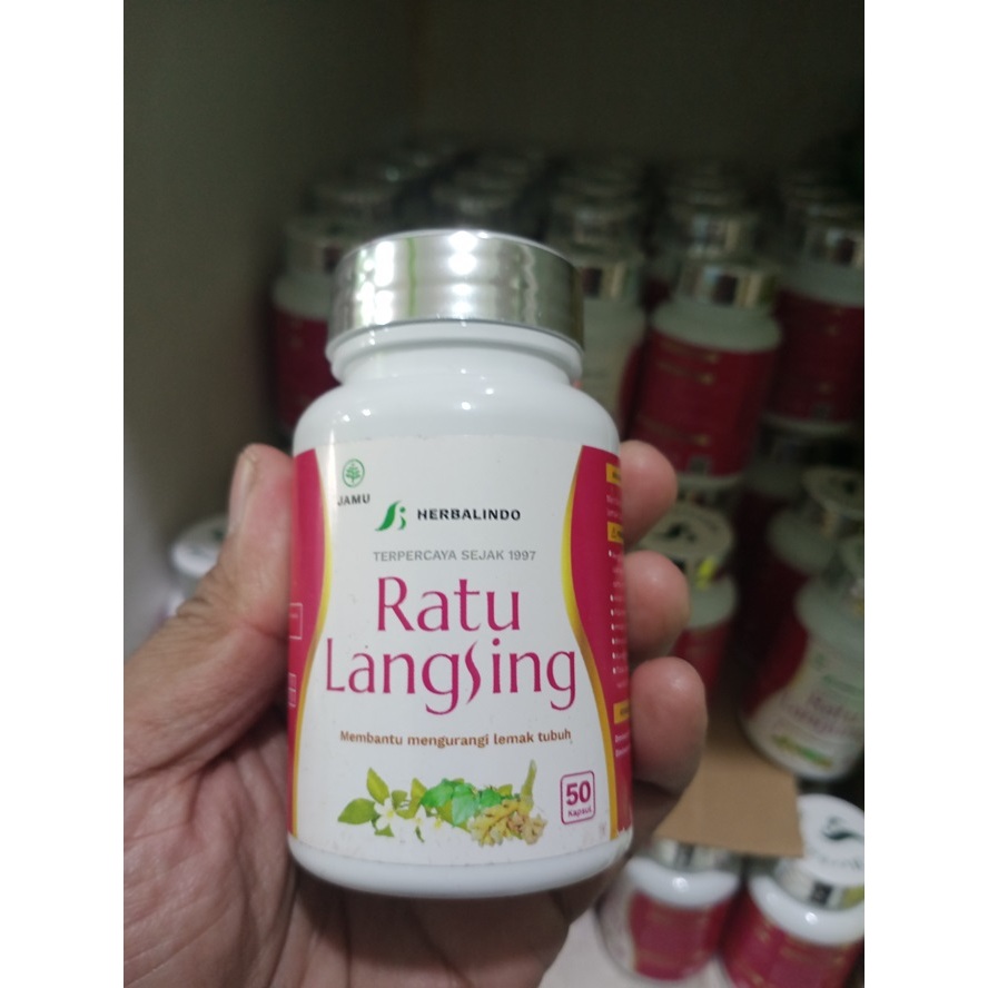 RATU LANGSING pelangsing alami