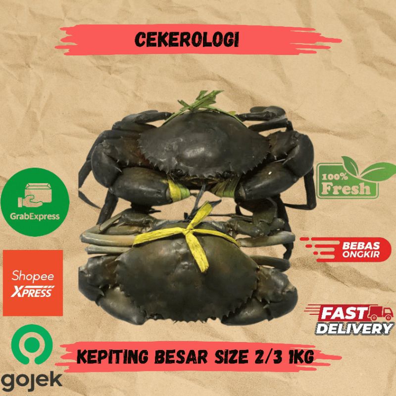 

Kepiting Besar Besar Size 2/3 1kg / Kepiting Besar / Kepiting / Kepiting Fresh Berkualitas / JABODETABEK / Seafood Segar / Seafood