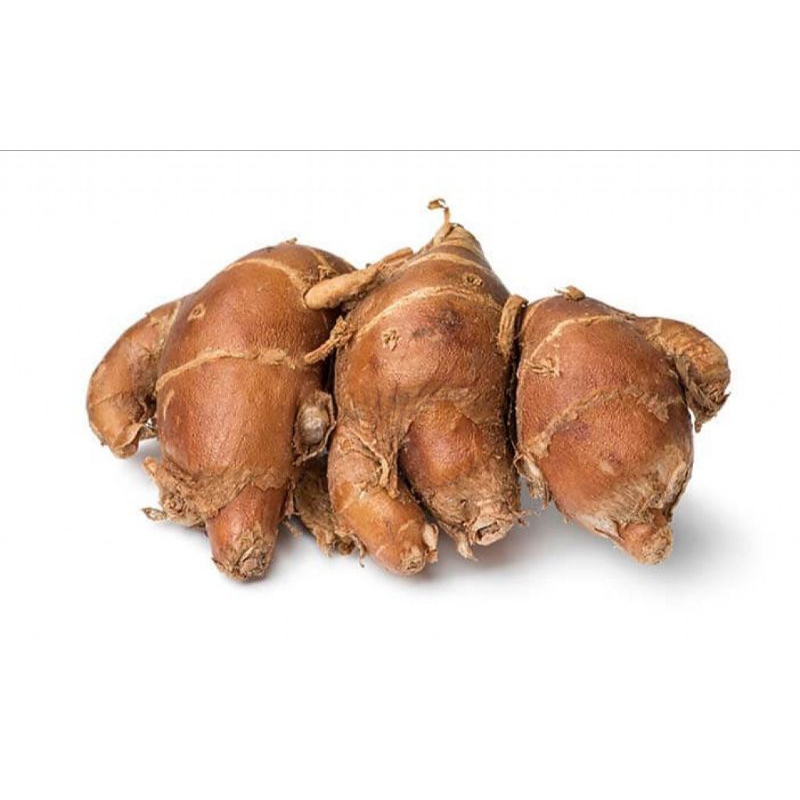 

Kencur Cikur 250g Seblak Nasi Goreng Bumbu Dapur