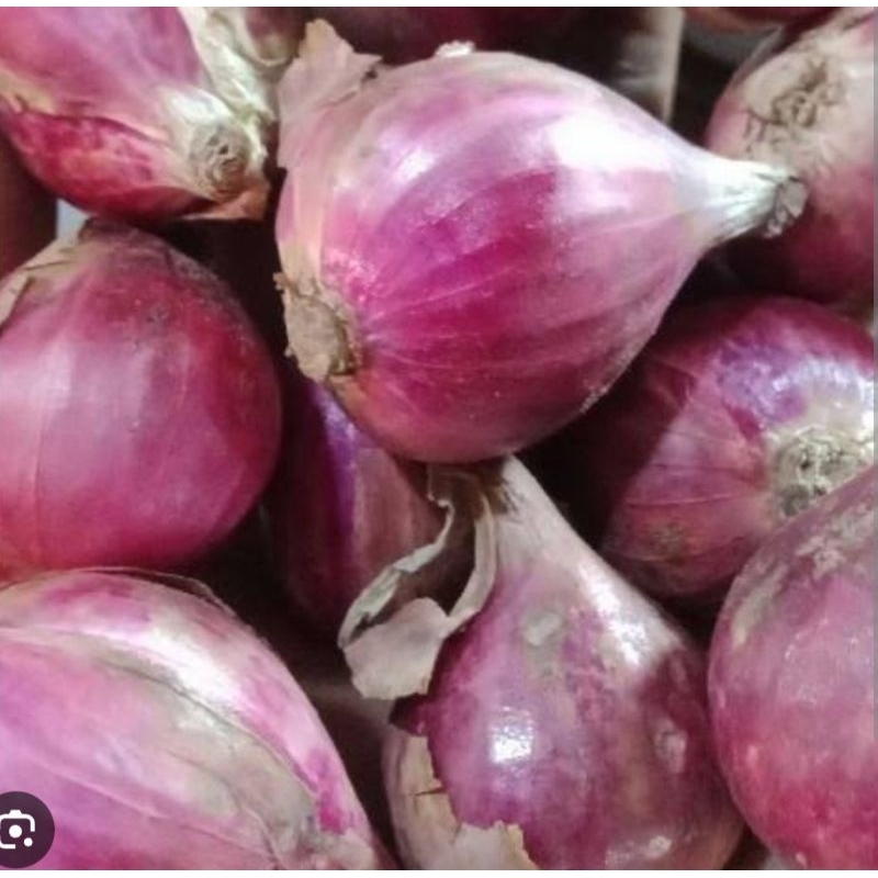 

Bawang Merah 1KG