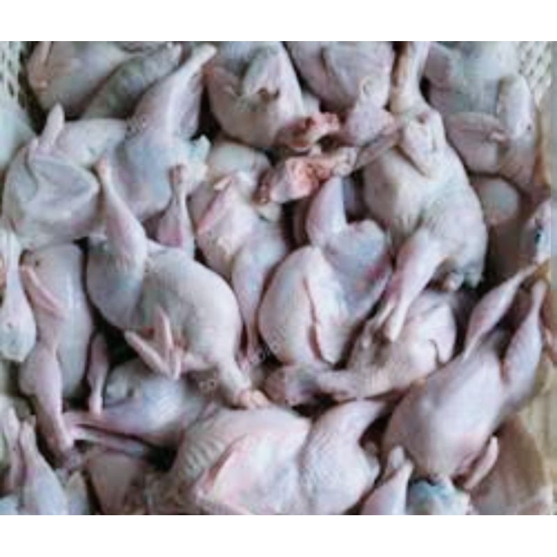 

daging puyuh mentah.