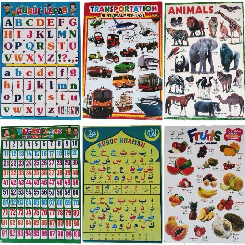 

Paket 6 Poster Edukasi / Hurup / Angka / Hewan / Buah / Hijaiyah / Tranfortasi