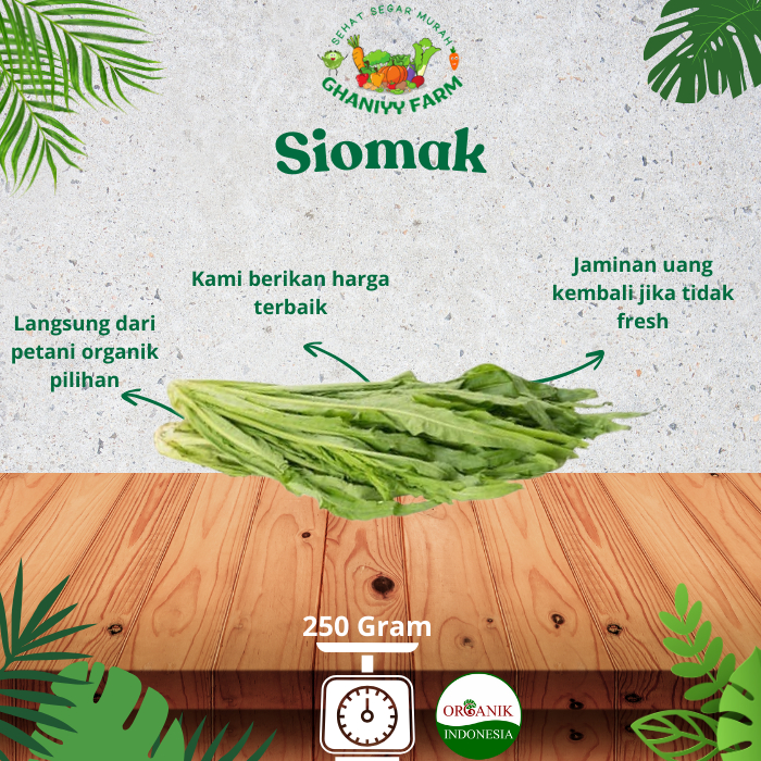 

Sayur Organik Siomak Organik 250Gram