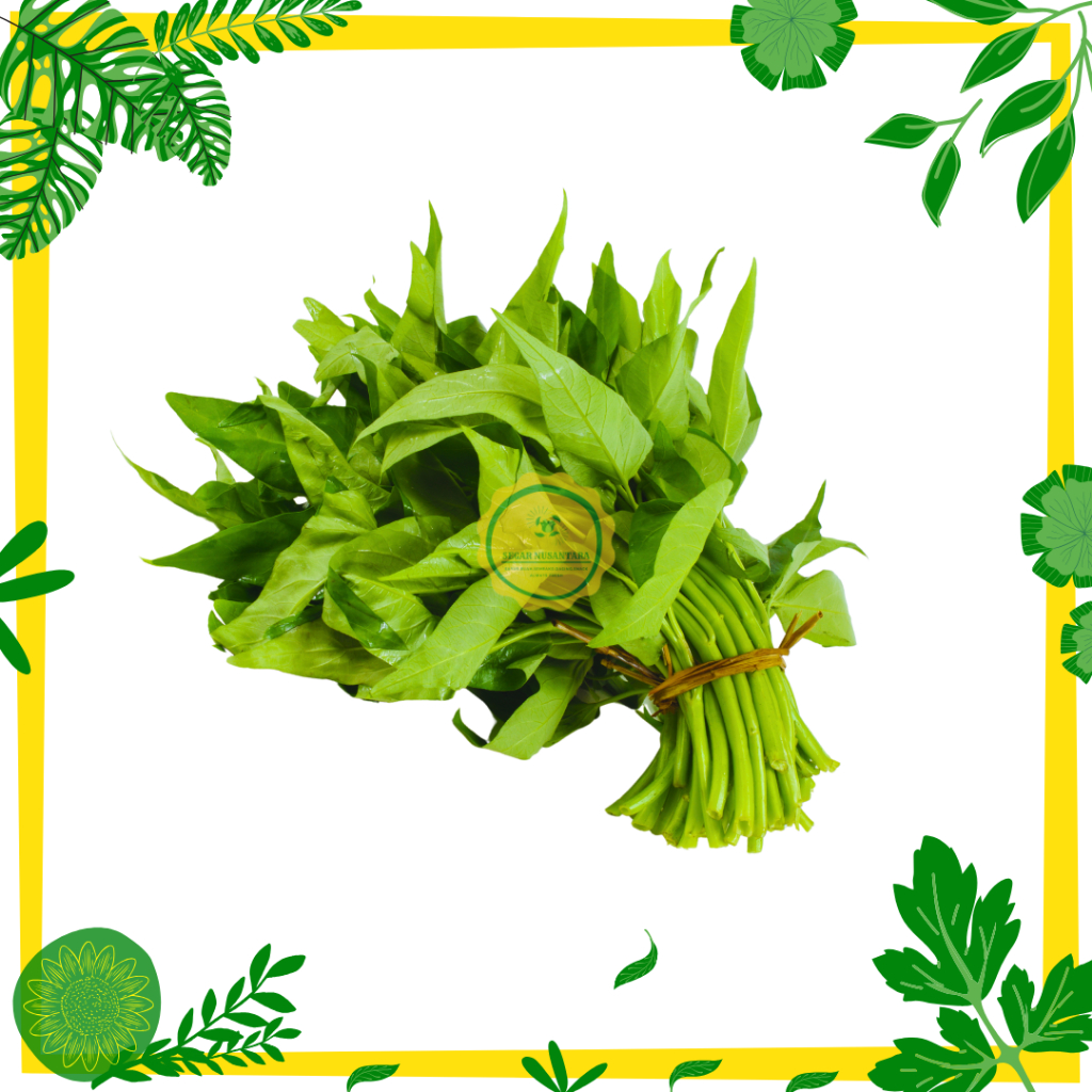

Kangkung Segar Nusantara - 1 Ikat (220 - 250 Gram)